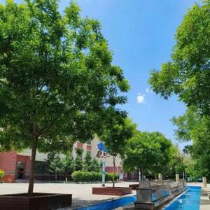 说不痛苦那是假的