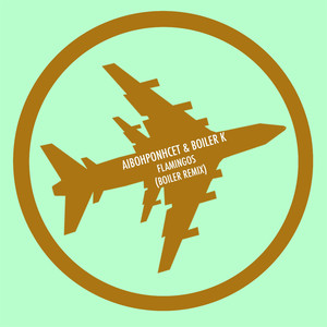 Flamingos (Boiler Remix)