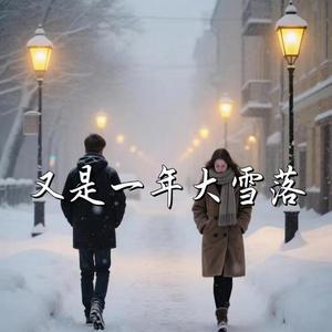 又是一年大雪落（深情版）