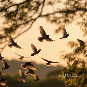 我鸟都不鸟你（Cover 黄金玉米王）