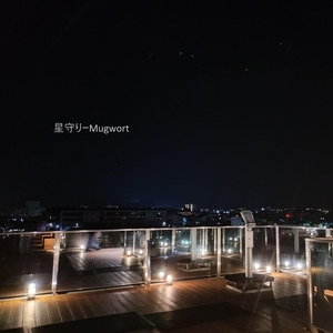 星守り (2025)