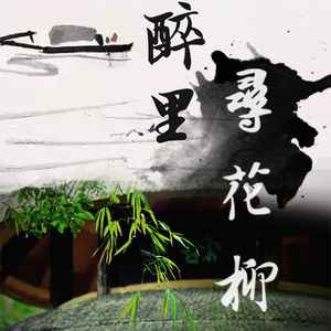 你说 你说 tiamo