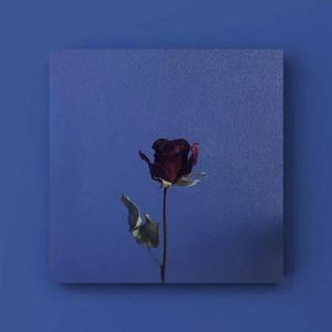 沉沦与遐想(原唱:C.HØPE)