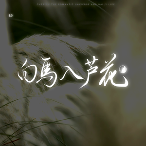 白马入芦花