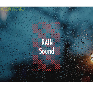 백색소음 빗소리