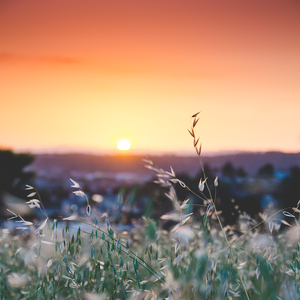 lit up from the nadir within (SeynChild Remix)