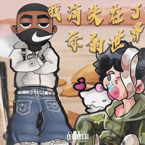 我消失在了你的世界