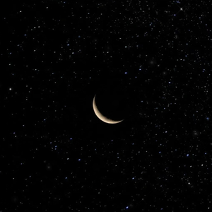 星星和月亮都是孤独的质数