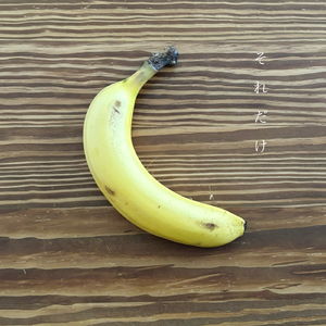 それだけ (feat. 初音ミク)