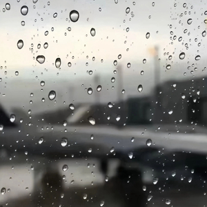 苦茶（心动版）