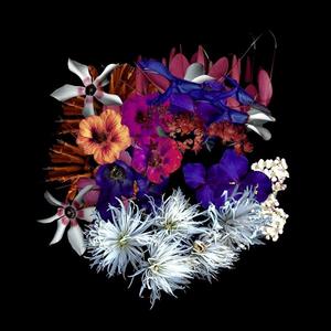 Decent! (feat. Lambert)