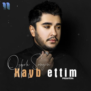 Kayb Ettim