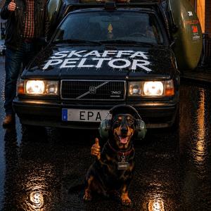 Skaffa Peltor