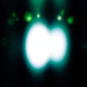 不回来 （DEMO）