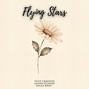 Flying Stars