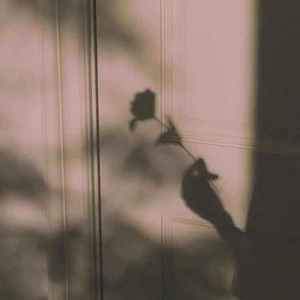 The disappearance of loneliness