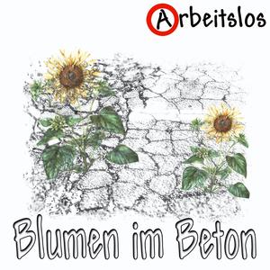Akustik Radio