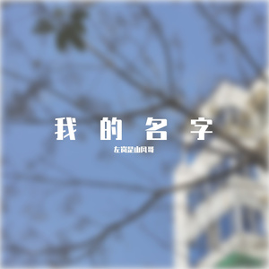 我的名字