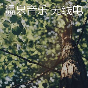 抚慰的回春回忆