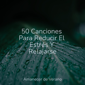 Melancólico Espejismo Junto al Río