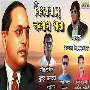 Bhimaraya Tu Janmas Aala