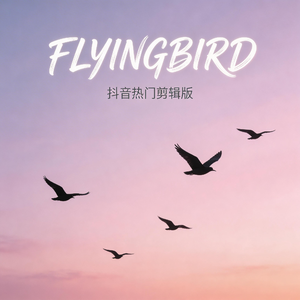 flyingbird（抖音热门剪辑版）