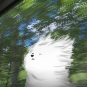 纵马踏花向自由