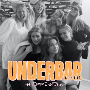 Underbar 2023 (Hjemmesnekk)