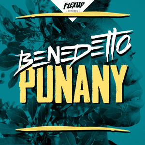 Punany