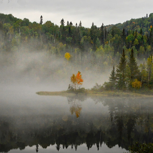 Thoughts Of His Promises