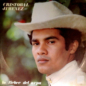 Como Errante Golondrina