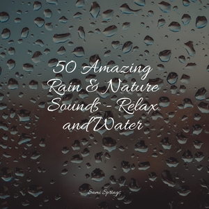 Forest, Busy, Animals