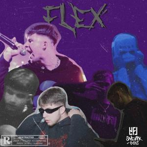 FLEX (feat. matiskater)