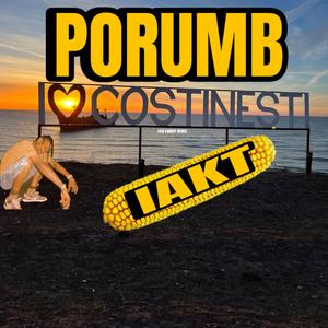 Travis Scott la Costinesti