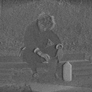 v a n t a r d i s e (2025)