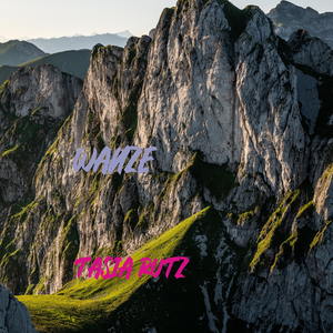 Wanze