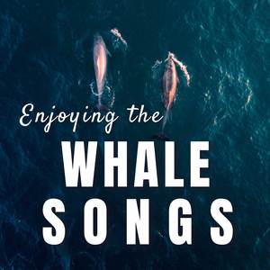 Whale