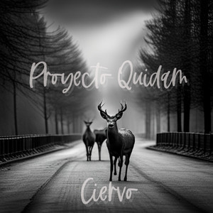 Origen desconocido (Demo)