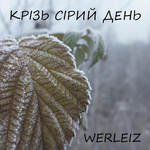 Крізь сірий день
