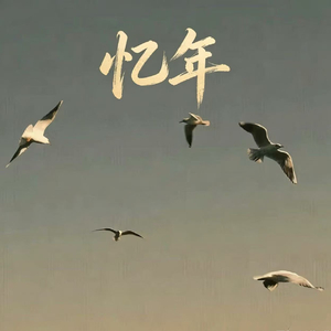 忆年