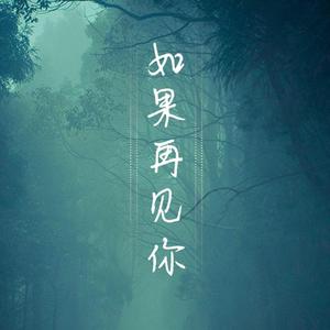 如果再见你