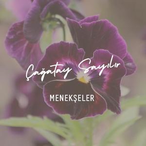 Menekşeler (Akustik)