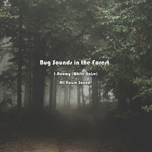 숲속 풀벌레소리 (ASMR, 집중 자장가)