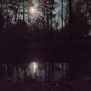 Neon Pharisee