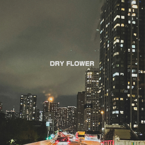 Dry Flower