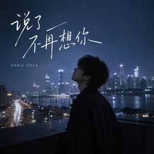 说了不再想你