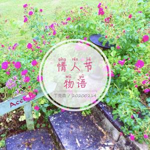 情人节物语