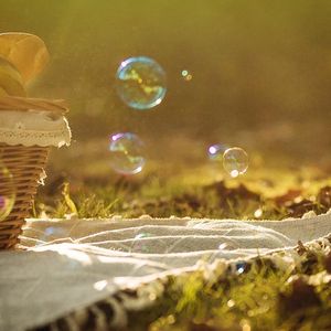 吴丝蜀桐张高秋