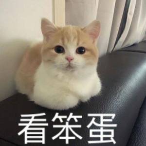光阴