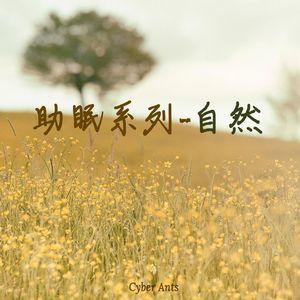 盛夏时光